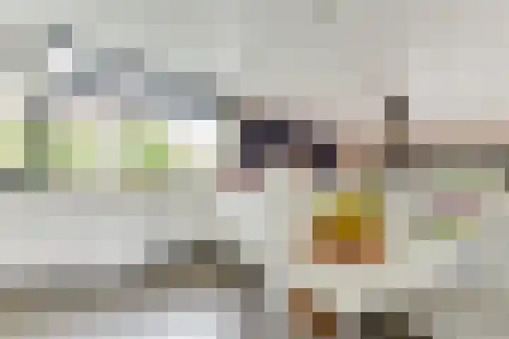 Margrietlaan 5 Alkmaar thumbnail 18
