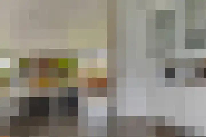 Margrietlaan 5 Alkmaar thumbnail 22