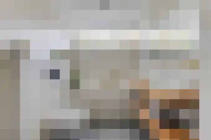 Margrietlaan 5 Alkmaar thumbnail 33