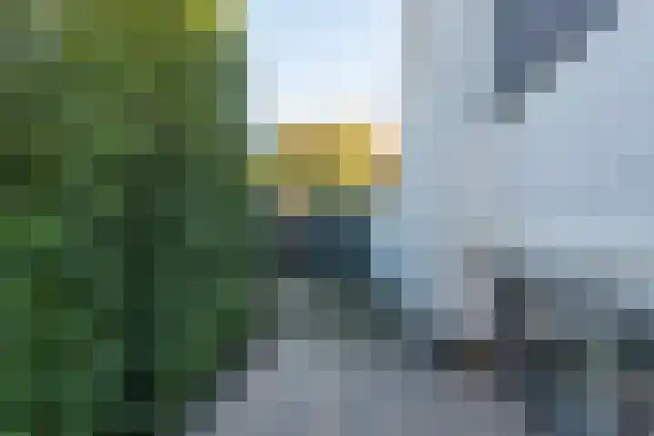 Margrietlaan 5 Alkmaar thumbnail 60