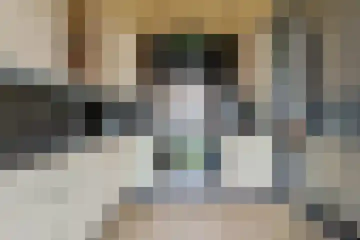 Margrietlaan 5 Nieuwkoop thumbnail 15