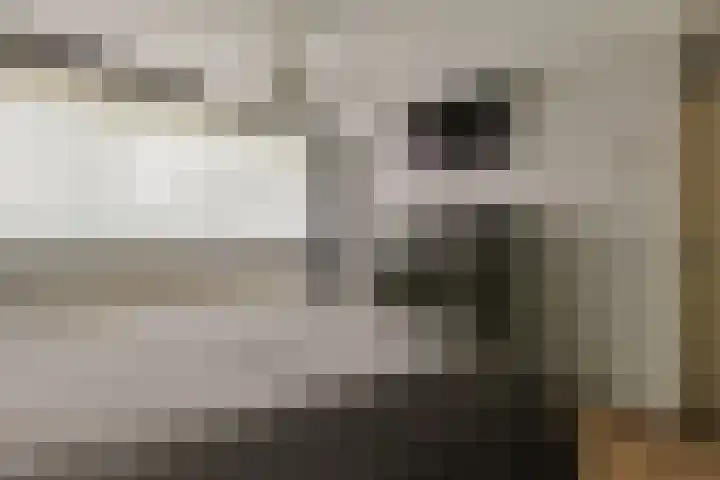 Margrietlaan 5 Nieuwkoop thumbnail 20