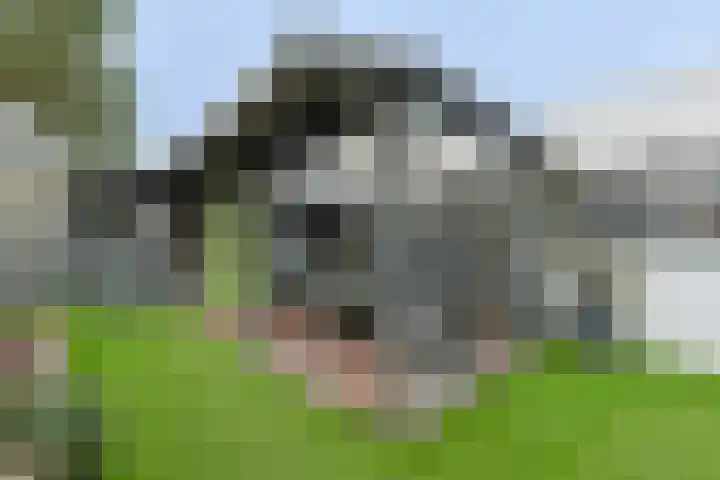 Margrietlaan 5 Nieuwkoop thumbnail 40