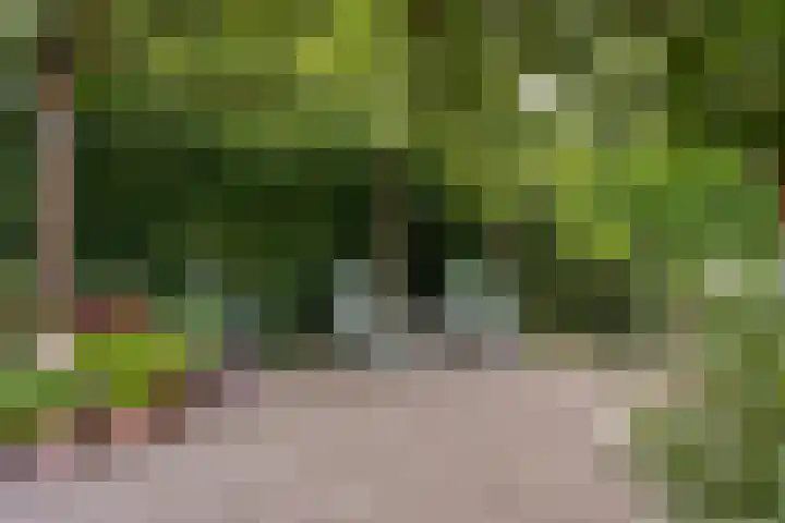 Margrietlaan 5 Sittard thumbnail 36
