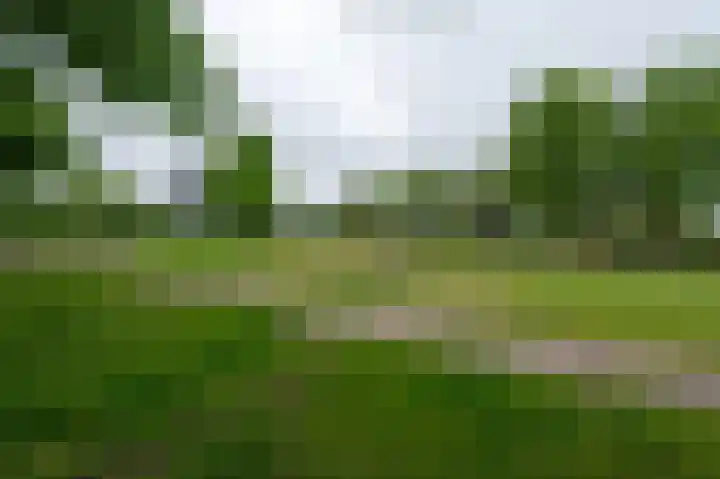 Margrietlaan 5 Soest thumbnail 34