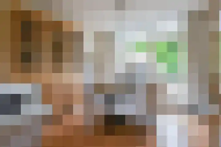 Margrietlaan 5 Soest thumbnail 6