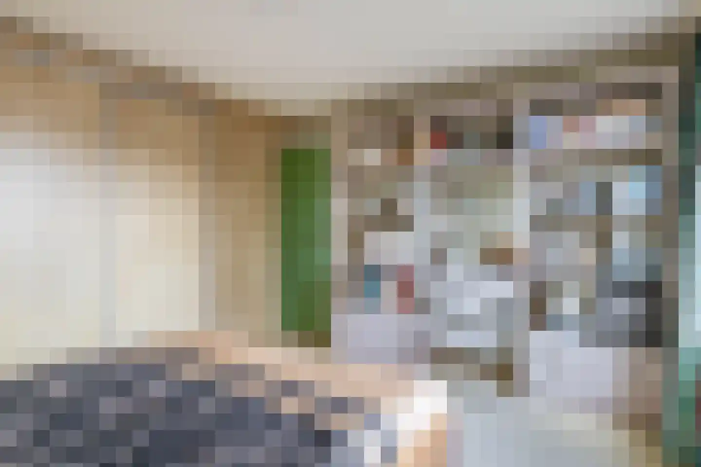 Margrietlaan 5 Zwartewaal thumbnail 25