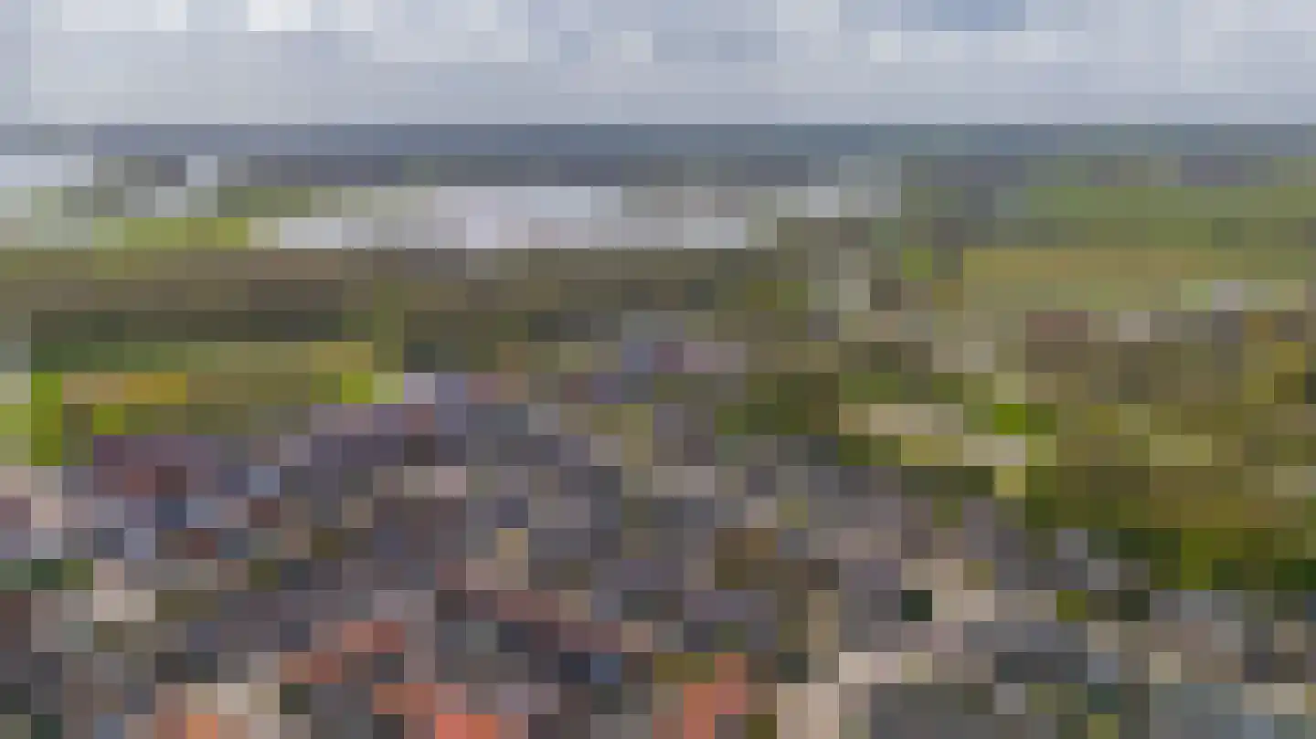 Margrietlaan 5 Zwartewaal thumbnail 4