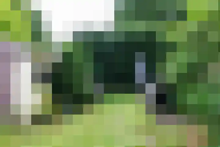 Margrietlaan 6 Bennekom thumbnail 4