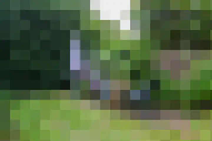 Margrietlaan 6 Bennekom thumbnail 5