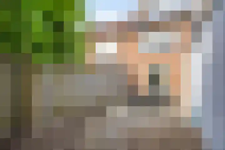 Margrietlaan 62 Helmond thumbnail 31