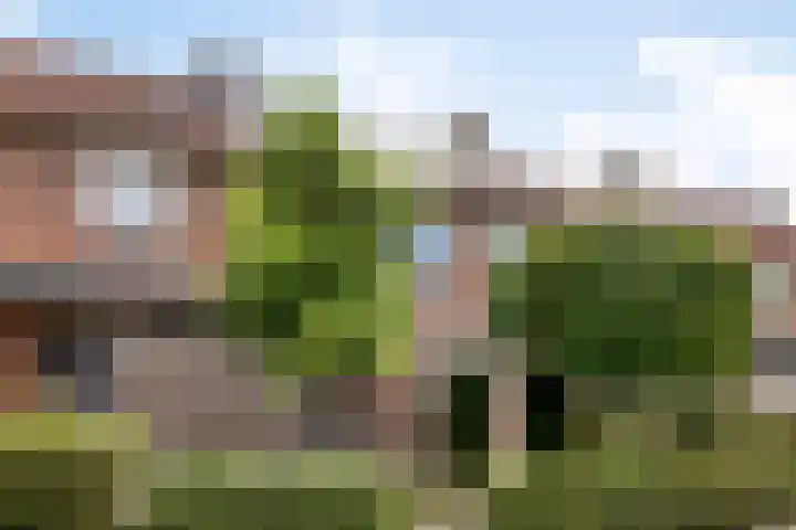 Margrietlaan 62 Helmond thumbnail 9