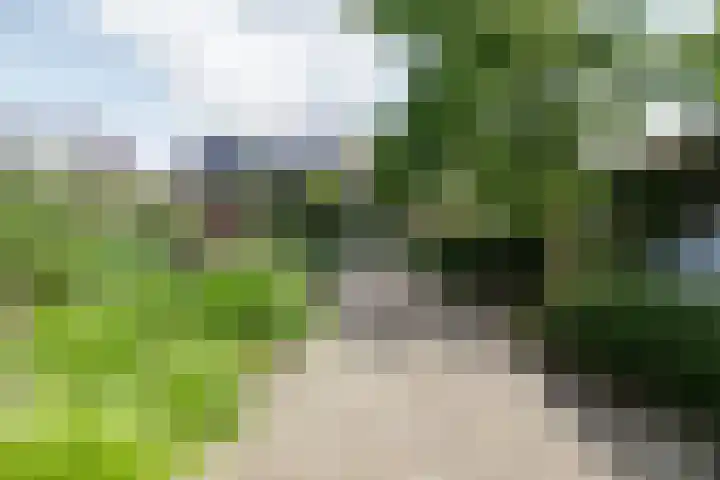 Margrietlaan 7 Bleiswijk thumbnail 11