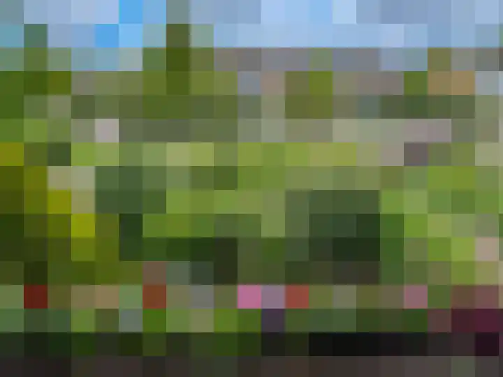 Margrietlaan 7 Bleiswijk thumbnail 12
