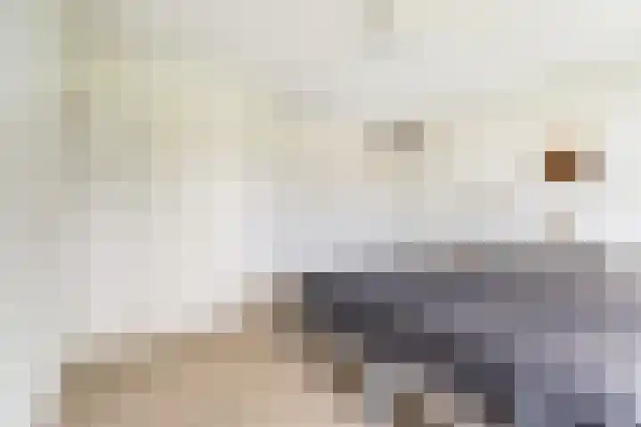Margrietlaan 7 Bleiswijk thumbnail 30