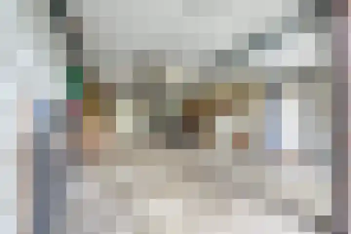 Margrietlaan 7 Bleiswijk thumbnail 32