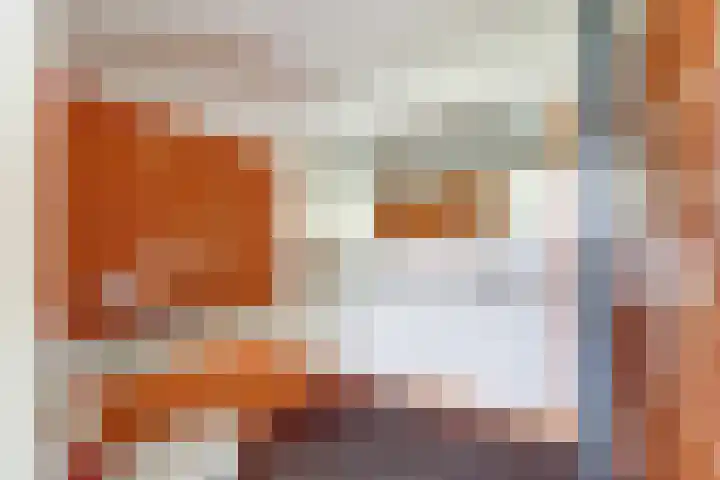 Margrietlaan 7 Bleiswijk thumbnail 34