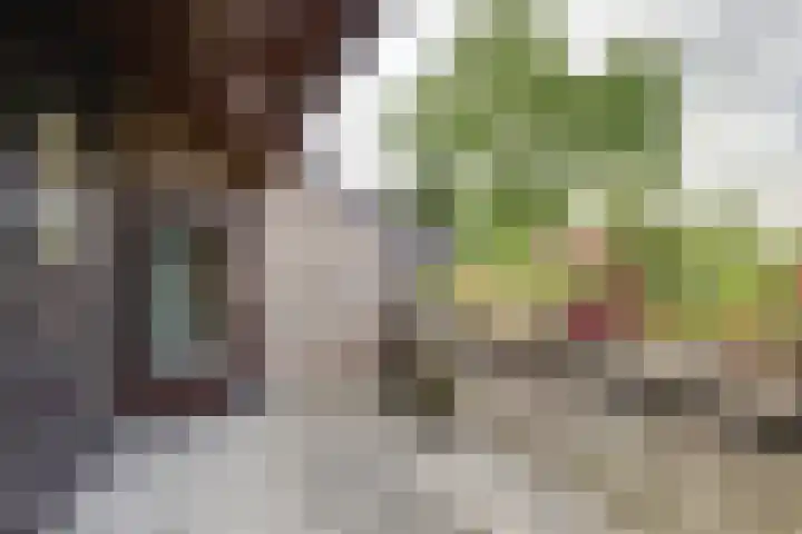 Margrietlaan 7 Bleiswijk thumbnail 36