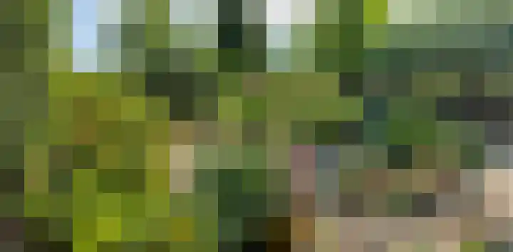 Margrietlaan 7 Bleiswijk thumbnail 38