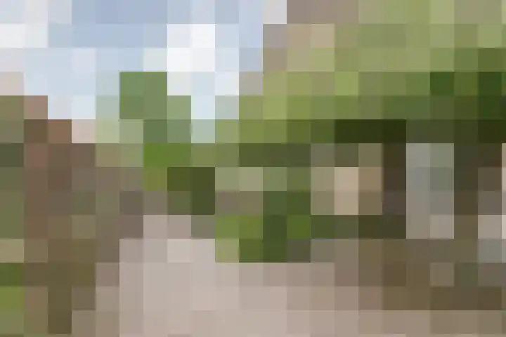 Margrietlaan 7 Bleiswijk thumbnail 4