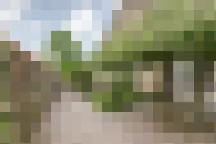 Margrietlaan 7 Bleiswijk thumbnail 40