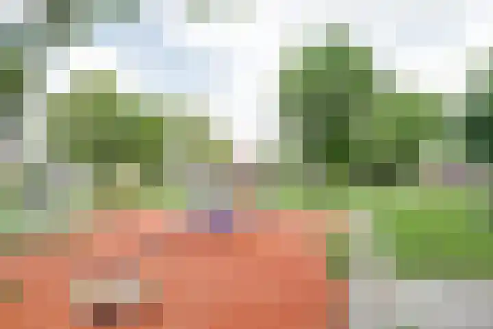 Margrietlaan 7 Bleiswijk thumbnail 41