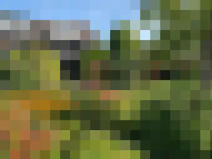 Margrietlaan 7 Bleiswijk thumbnail 5