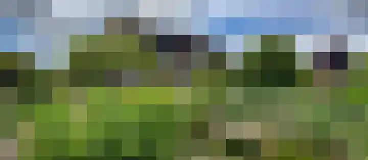 Margrietlaan 7 Bleiswijk thumbnail 9