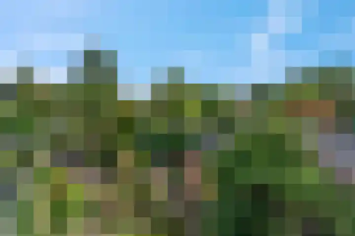 Margrietlaan 70 Bennekom thumbnail 19