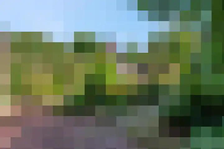 Margrietlaan 70 Bennekom thumbnail 36