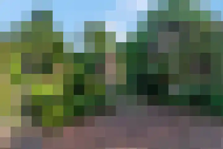 Margrietlaan 70 Bennekom thumbnail 37