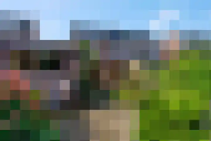 Margrietlaan 70 Bennekom thumbnail 38