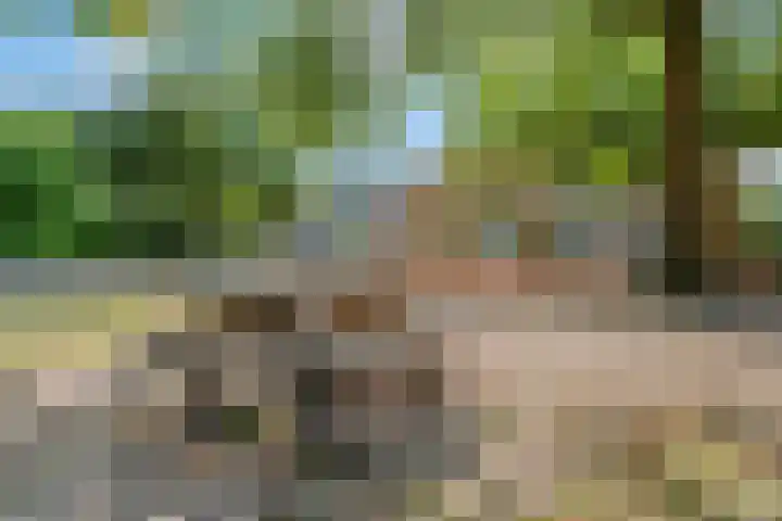 Margrietlaan 70 Bennekom thumbnail 47