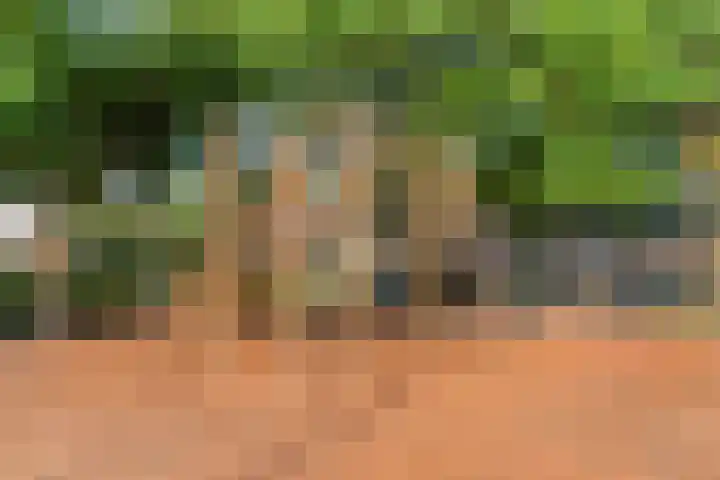 Margrietlaan 70 Bennekom thumbnail 48