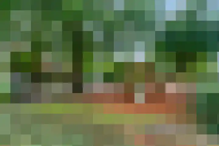 Margrietlaan 70 Bennekom thumbnail 49