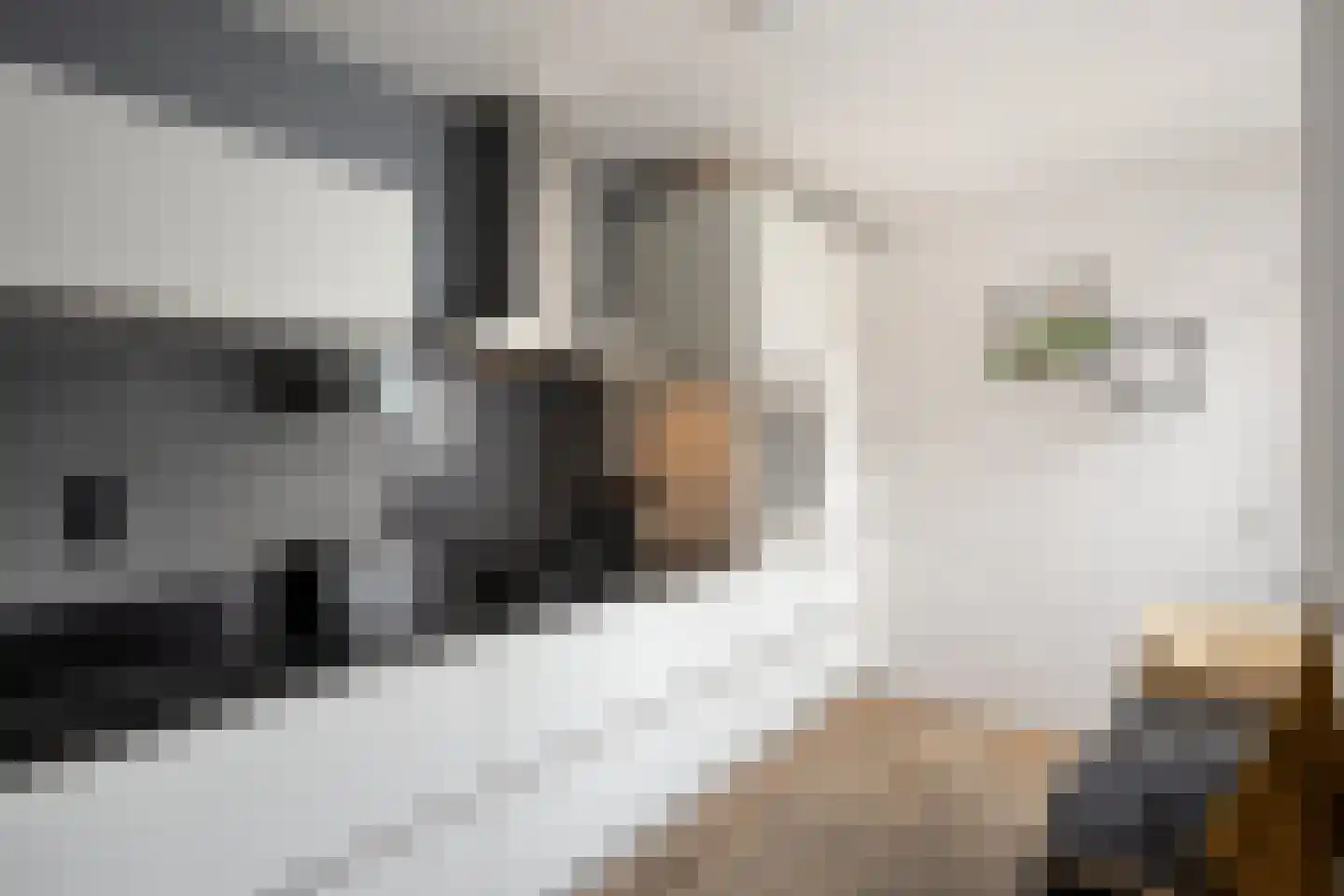 Margrietlaan 78 Helmond thumbnail 12