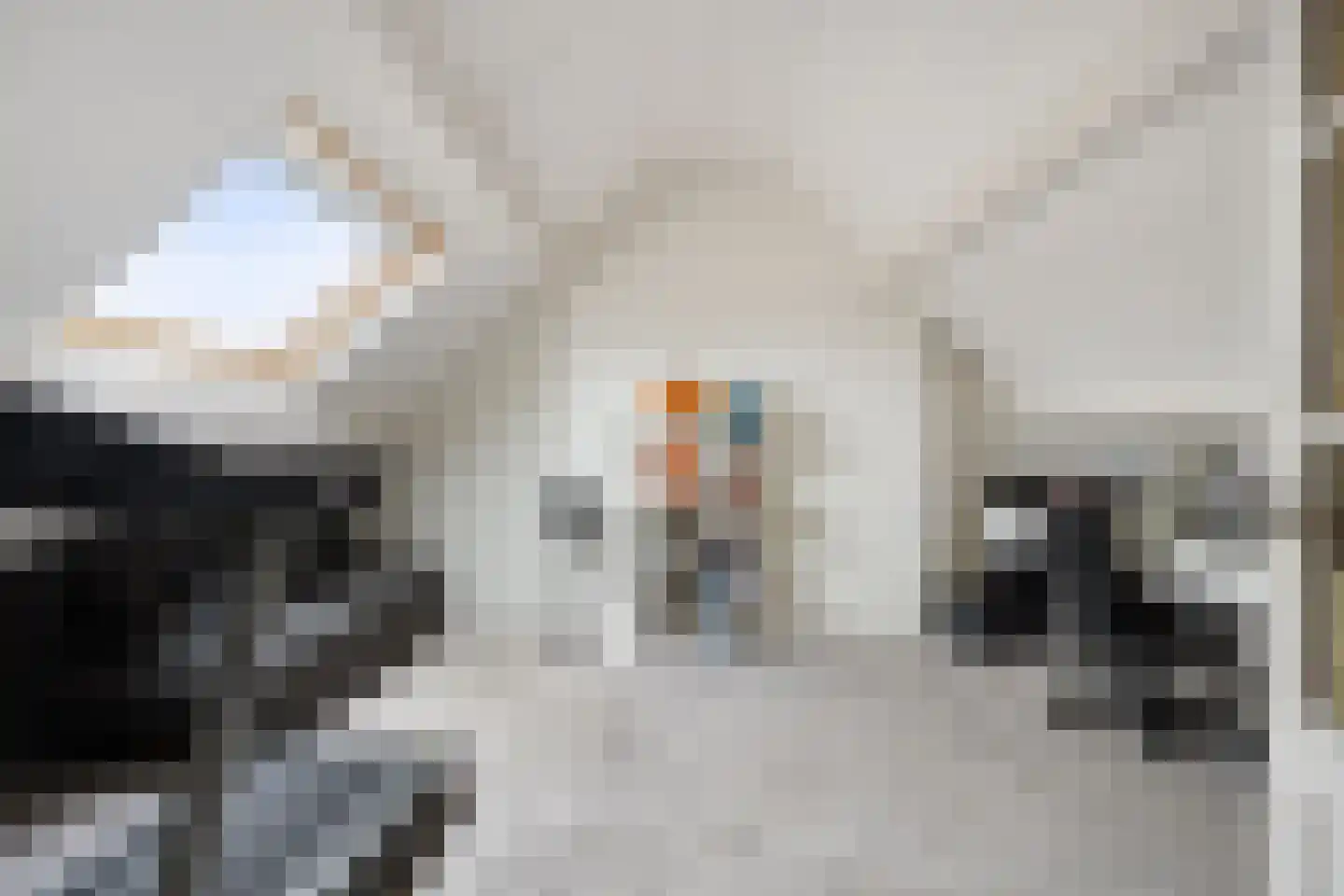 Margrietlaan 78 Helmond thumbnail 25