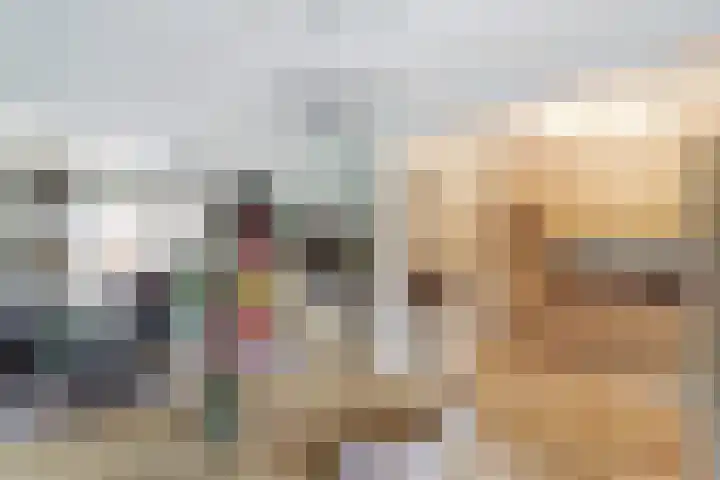 Margrietlaan 8 Bladel thumbnail 12