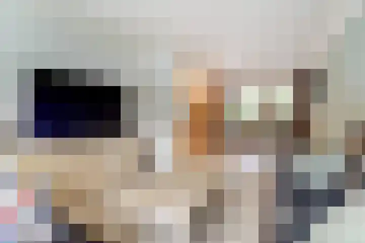 Margrietlaan 8 Bladel thumbnail 14