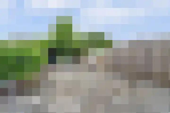 Margrietlaan 8 Bladel thumbnail 26