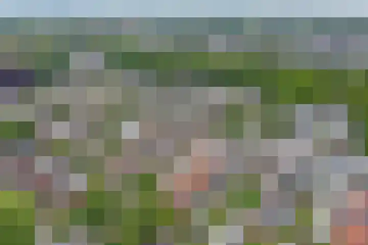 Margrietlaan 8 Bladel thumbnail 33