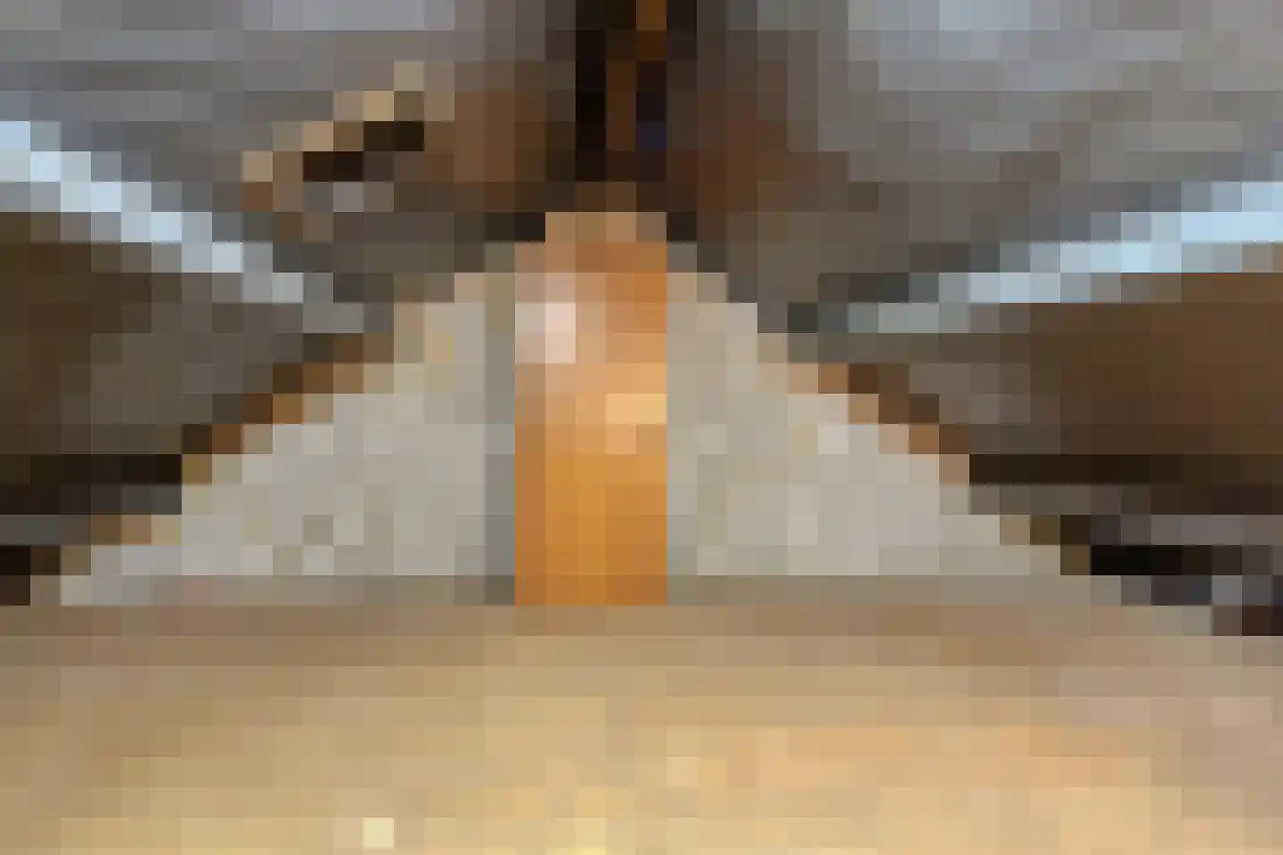 Margrietlaan 8 Susteren thumbnail 17