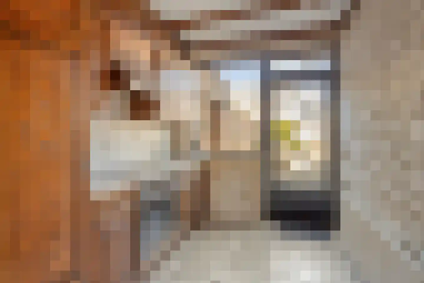 Margrietlaan 8 Susteren thumbnail 4