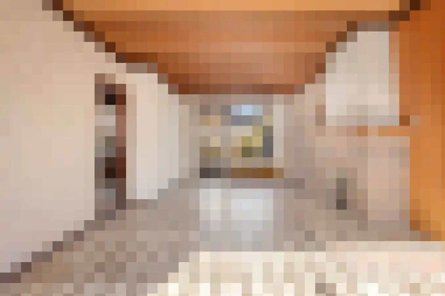 Margrietlaan 8 Susteren thumbnail 5
