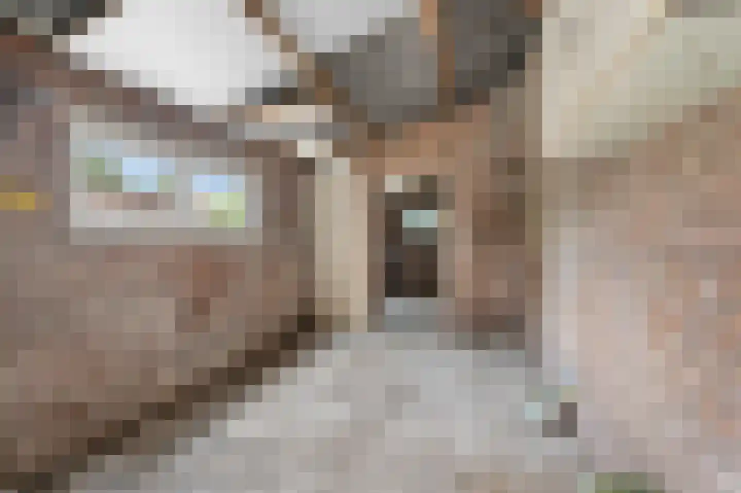 Margrietlaan 9 Dodewaard thumbnail 24