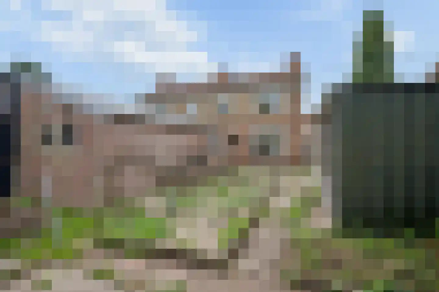 Margrietlaan 9 Dodewaard thumbnail 28