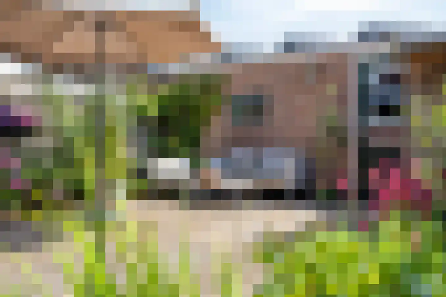 Margrietlaan 9 Harmelen thumbnail 36