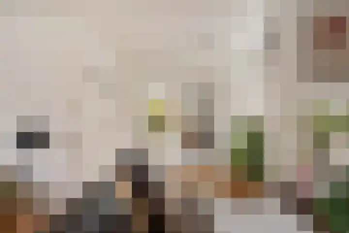 Margrietlaan 9 Zuidlaren thumbnail 10