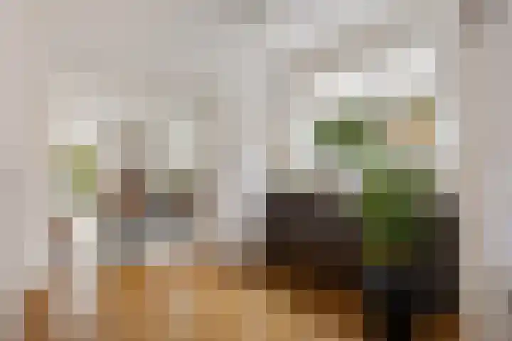 Margrietlaan 9 Zuidlaren thumbnail 11