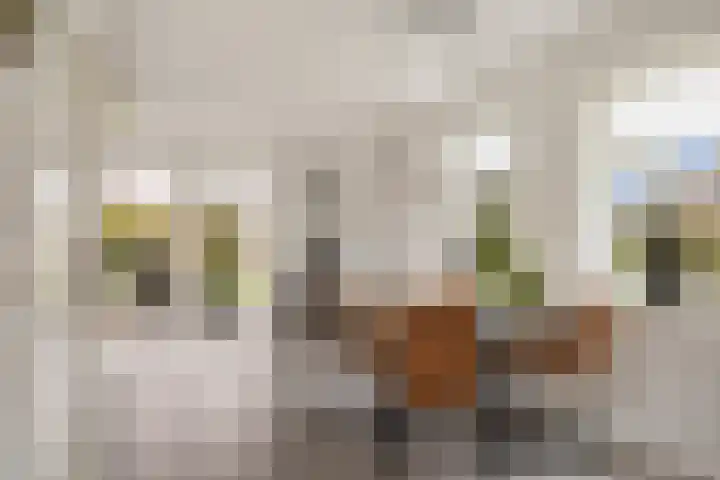 Margrietlaan 9 Zuidlaren thumbnail 13